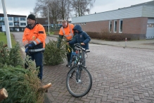 Kerstbomen versnipperen