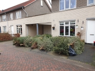 Kerstbomen versnipperen