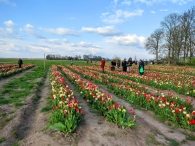 Plukavond bij Hanneke's Pluktuin