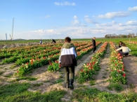 Plukavond bij Hanneke's Pluktuin