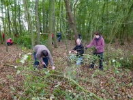 Natuurwerkdag 2017: Pierland