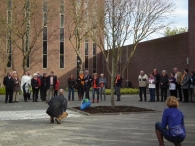 Koninginnedag 2013 (1)