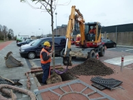 Bomen aanplanten MFG