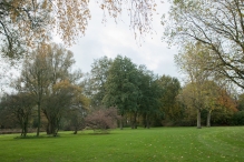 Dorpsbos Biddinghuizen in herfstkleuren 2/2