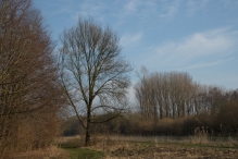 Harderbos