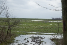 Strandgaperbeek en Kievitslanden