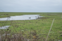 Strandgaperbeek en Kievitslanden