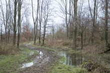 Strandgaperbeek en Kievitslanden