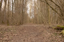 Harderbos