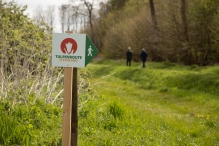 Tulpenroute 2021 (Wandelroute Swifterbant)