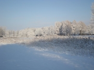 Winter 2010