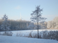 Winter 2010