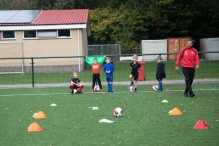 BAS Parels in training