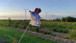 Plukavond bij Hanneke's Pluktuin