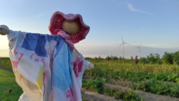 Plukavond bij Hanneke's Pluktuin