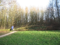 Storm rond Biddinghuizen