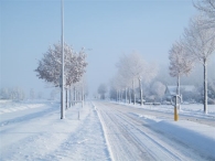 Winter 2010 (03-01)