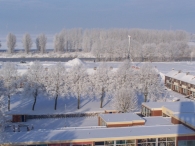 Winter 2010 (03-01) / 2