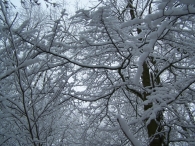 Winter 2010 - Zeebiesweg