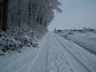 Winter 2010 - Zeebiesweg