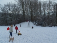 Winter 2010 - Het Eiland