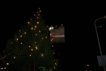 Plaatsen Kerstboom