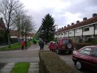 Plaatsen Kerstboom