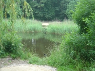 Wandelpad - 9 juni