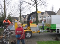 Kerstbomen versnipperen