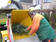 Kerstbomen versnipperen