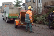 Kerstbomen versnipperen