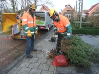 Kerstbomen versnipperen