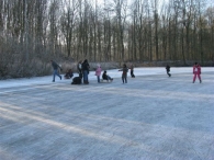 Scholen schaatsen ijsbaan