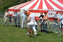 Koninginnedag 2004 - Doggy Dance (2)