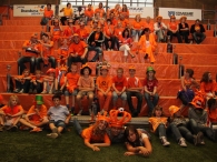 WK 2010: Nederland - Denemarken (2)