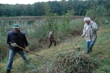 Vrijwilligers werken op 't eiland