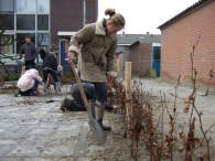 Boomplantdag 2009