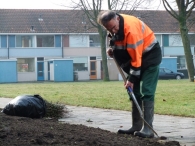 Boomplantdag 2010