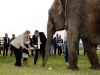 Olifant Baby opent Game Fair bij FlevOnice