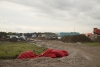 Gemeente Dronten in trek bij bedrijven