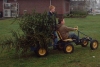 Kerstbomen versnipperen