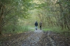 IVN gaat wandelen in Harderbos