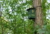 Vrijdag Blijdag: vogelvoer maken met IVN