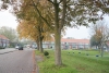 Diverse bomen in Biddinghuizen worden gekapt