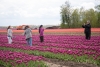 Tulpenroute roept op: Geniet van de bloemen maar behandel ze met respect