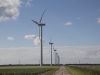 WUR: windmolens gevaarlijker voor vogelpopulatie dan eerder gedacht