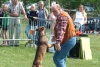 Agility For Fun zet zich in voor S.O.S. Strays