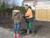 Boomplantdag 2010