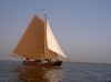 Skûtsjesilen in voorjaarsvakantie vanuit Jachthaven Flevostrand