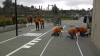 Ouders welkom bij opening verkeersplein